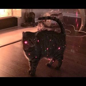 Meet your Posher, Joann